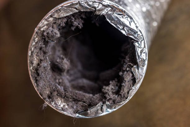 Best Professional Duct Cleaning Services  in Stock Island, FL